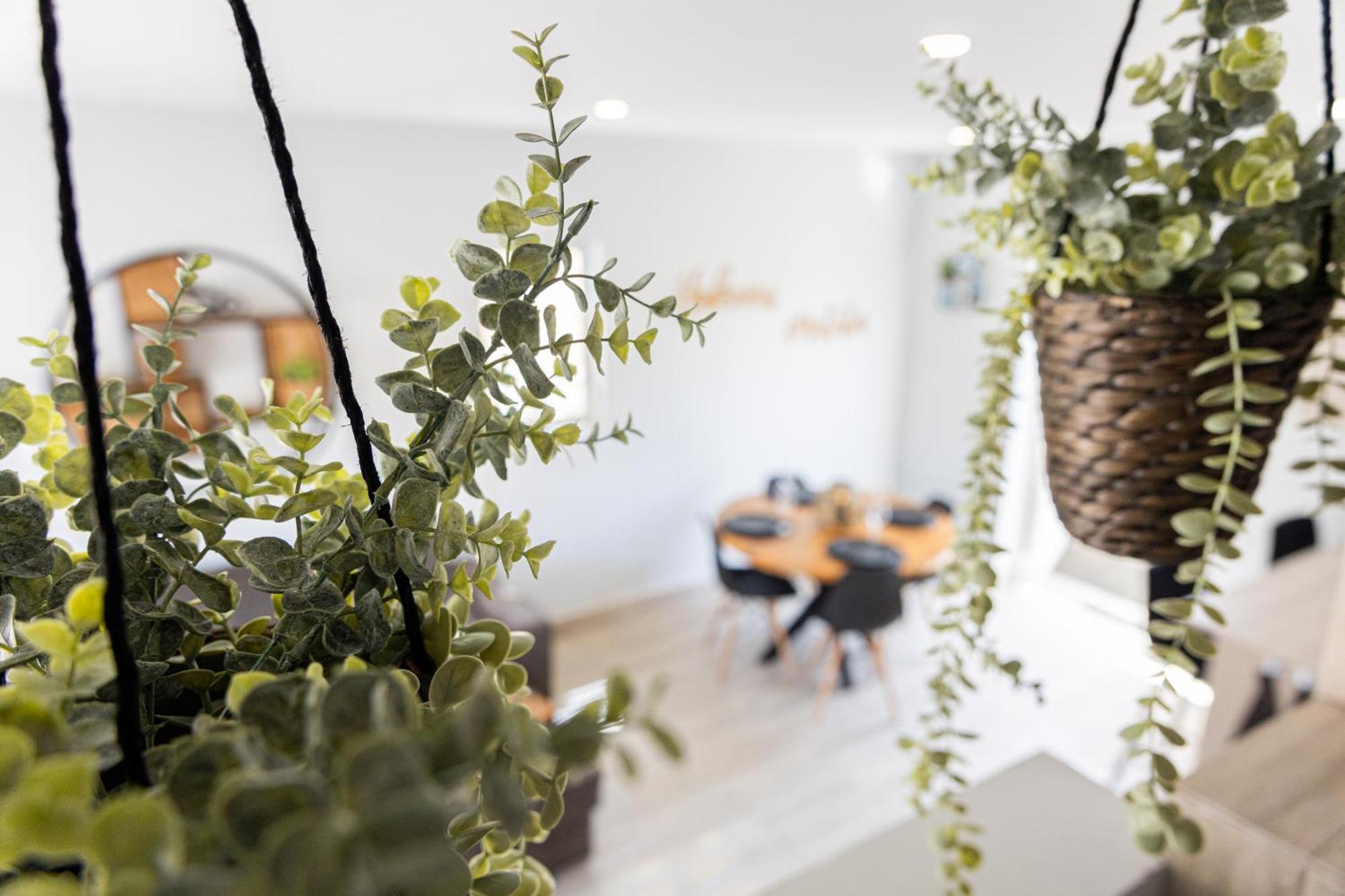 Av Curacao - Centrally Located Spacious Apartment Willemstad Exterior foto
